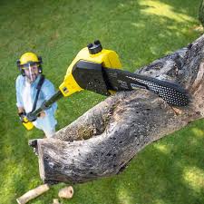 Best Lawn Mowing Services  in Port Orange, FL